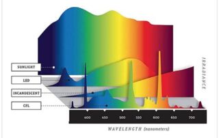 Full Spectrum Lighting Vivalyte