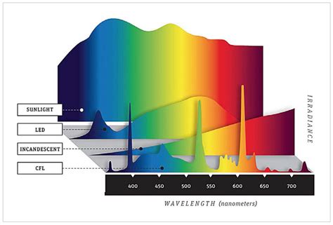 Full Spectrum Lighting Vivalyte